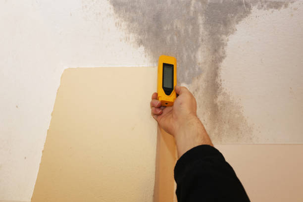 Mold Remediation for Vacation Homes in Hertford, NC