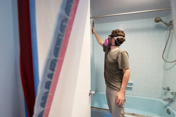 Dehumidification Services in Hertford, NC